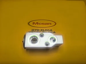 Chevrolet Captiva Expansion (Genleşme) Valfi 96629609 - Gorsel 1